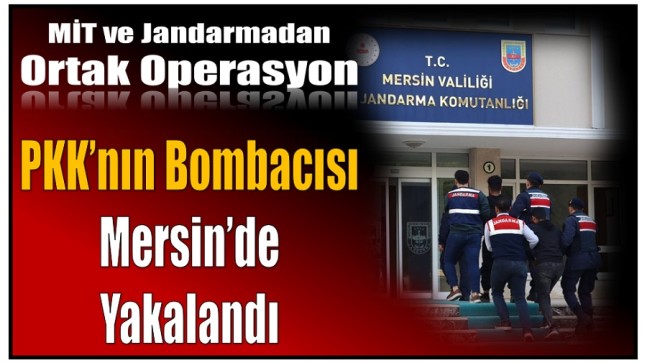 MİT ve Jandarmanın Düzenlediği Operasyonda 2 Terörist Yakalandı