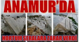 ANAMUR’DA HORTUM, SERALARA ZARAR VERDİ