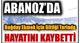 Abanoz’da Tarlada Çalışırken Hayatını Kaybetti