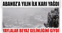 KAR YAĞIŞI BAŞLADI ; YAYLALAR GELİNLİĞİNİ GİYDİ