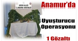 Jandarmadan Anamur’da Uyuşturucu Operasyonu