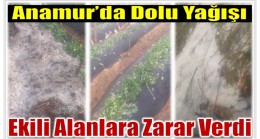 Anamur’da Dolu Etkili Oldu ; Ekili Alanlar Zarar Gördü