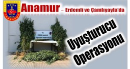 Jandarmadan Uyuşturucu Operasyonu ; 3 Şüpheli Gözaltına Alındı