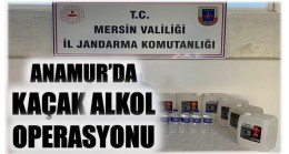 ANAMUR’DA KAÇAK ALKOL OPERASYONU