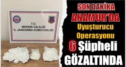 Uyuşturucu Madde Kullanan Şahıslar, Jandarma Ekipleri Tarafından Yakalandı