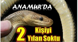 ANAMUR’DA İKİ KİŞİYİ YILAN SOKTU