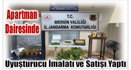 Apartman Dairesinde Uyuşturucu Yetiştiren ve Satan Şahsa Operasyon