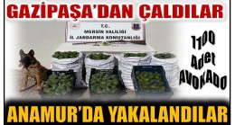 Gazipaşa’dan Çaldılar , Jandarmanın Dikkati Sayesinde Anamur’da Yakalandılar