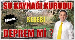 SEBEBİ DEPREM Mİ ?