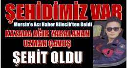 MERSİN’E ACI HABER BİLECİK’TEN GELDİ; ŞEHİDİMİZ VAR