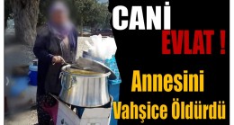 Cani Evlat Annesini Vahşice Öldürdü