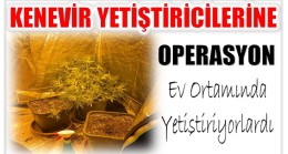 Ev Ortamında Uyuşturucu Yetiştiren Şahıslara  Operasyon