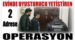 Evinde Esrar Yetiştiren 2 Ayrı Adrese Operasyon