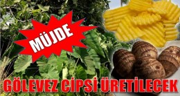 GÖLEVEZ CİPSİ ÜRETİLECEK