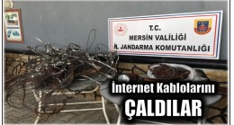 İnternet Kablolarını Çaldılar