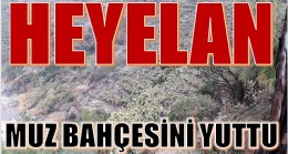 HEYELAN , MUZ BAHÇESİNİ YUTTU