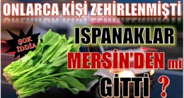 Ispanaktan Zehirlenen Onlarca Kişi Hastanelere Koştu; ŞOK İDDİA, “Ispanaklar Mersin’den mi Geldi”