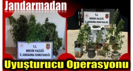 Jandarmadan Uyuşturucu Madde Operasyonu