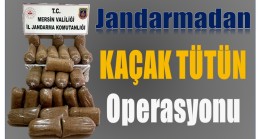 Jandarmadan Kaçak Tütün Operasyonu