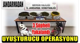 Jandarmadan  3 İlçede Uyuşturucu Operasyonu