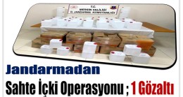 JANDARMADAN SAHTE İÇKİ OPERASYONU: 1 GÖZALTI