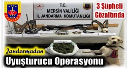 Jandarmadan Uyuşturucu Operasyonu ; 3 Şüpheli Gözaltına Alındı