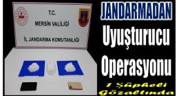 Jandarmadan Uyuşturucu Operasyonu