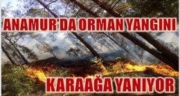 ANAMUR KARAAĞA YANIYOR