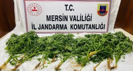 UYUŞTURUCU OPERASYONUNDA, 3’ü Anamur’dan 8 Şüpheli Şahıs Gözaltına Alındı