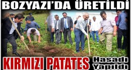 Bozyazı’da Yetiştirilen KIRMIZI PATATESİN Hasadı Yapıldı