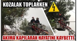 Kozalak Toplarken Elektrik Akımına Kapıldı