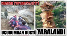 MANTAR TOPLAMAYA GİTTİ ; UÇURUMDAN DÜŞEREK YARALANDI