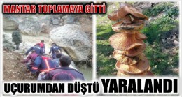 MANTAR TOPLAMAYA GİTTİ ; UÇURUMDAN DÜŞEREK YARALANDI