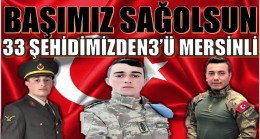 BAŞIMIZ SAĞOLSUN. 33 ŞEHİDİMİZİN 3’Ü MERSİN’Lİ