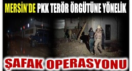 MERSİN’DE PKK TERÖR ÖRGÜTÜNE YÖNELİK ŞAFAK OPERASYONU ; 18 Gözaltı Kararı