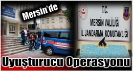 Jandarmadan Uyuşturucu Operasyonu !