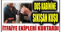 Kabine Sıkışan Kuşu İtfaiye Kurtardı