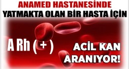 A RH ( + ) KAN ARANIYOR