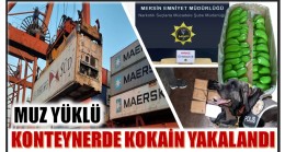 MUZ YÜKLÜ KONTEYNERDE 6.750 GRAM KOKAİN ELE GEÇİRİLDİ