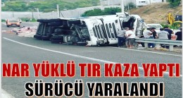 NAR YÜKLÜ TIR DEVRİLDİ; SÜRÜCÜSÜ YARALANDI