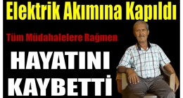 Çilek Tarlasında Elektrik Akımına Kapılarak Hayatını Kaybetti