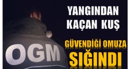 Yuvası Yanan Kuş , Orman Muhafaza Memuruna Sığındı