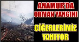 ANAMUR’DA CİĞERLERİMİZ YANIYOR