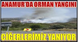 ANAMUR’DA ORMAN YANGINI