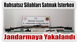 Ruhsatsız Silahları Satmak İsterken Jandarmaya Yakalandı