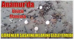 SAHİLE İNEN VATANDAŞLAR ŞAŞKINLIĞINI GİZLEYEMEDİ