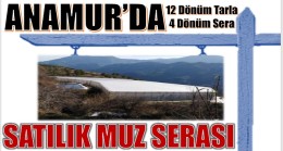 ANAMUR’DA SATILIK MUZ SERASI