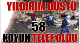 Anamur’da Yıldırım Düştü; 58 Koyun Telef Oldu