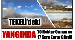 Yangında , 70 Hektar Orman ve 17 Sera Zarar Gördü