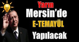 Ak Parti’de,E-Temayül Yoklaması;17 Yetişkin Ağacı Kesilmekten Kurtaracak